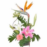 㷻ʻٵ